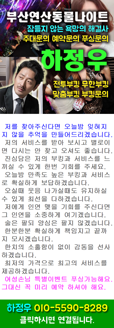 부산연산동물나이트 wt하정우