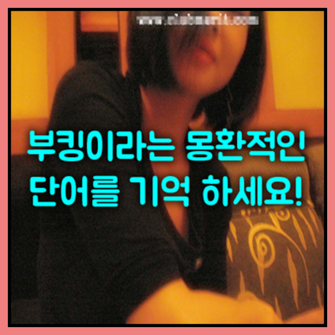 부산물나이트y wt하정우