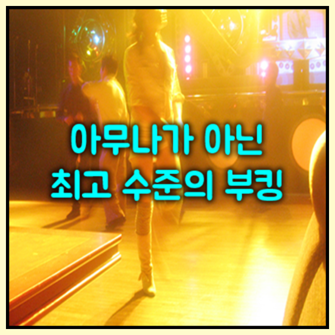 부산연산동물나이트s